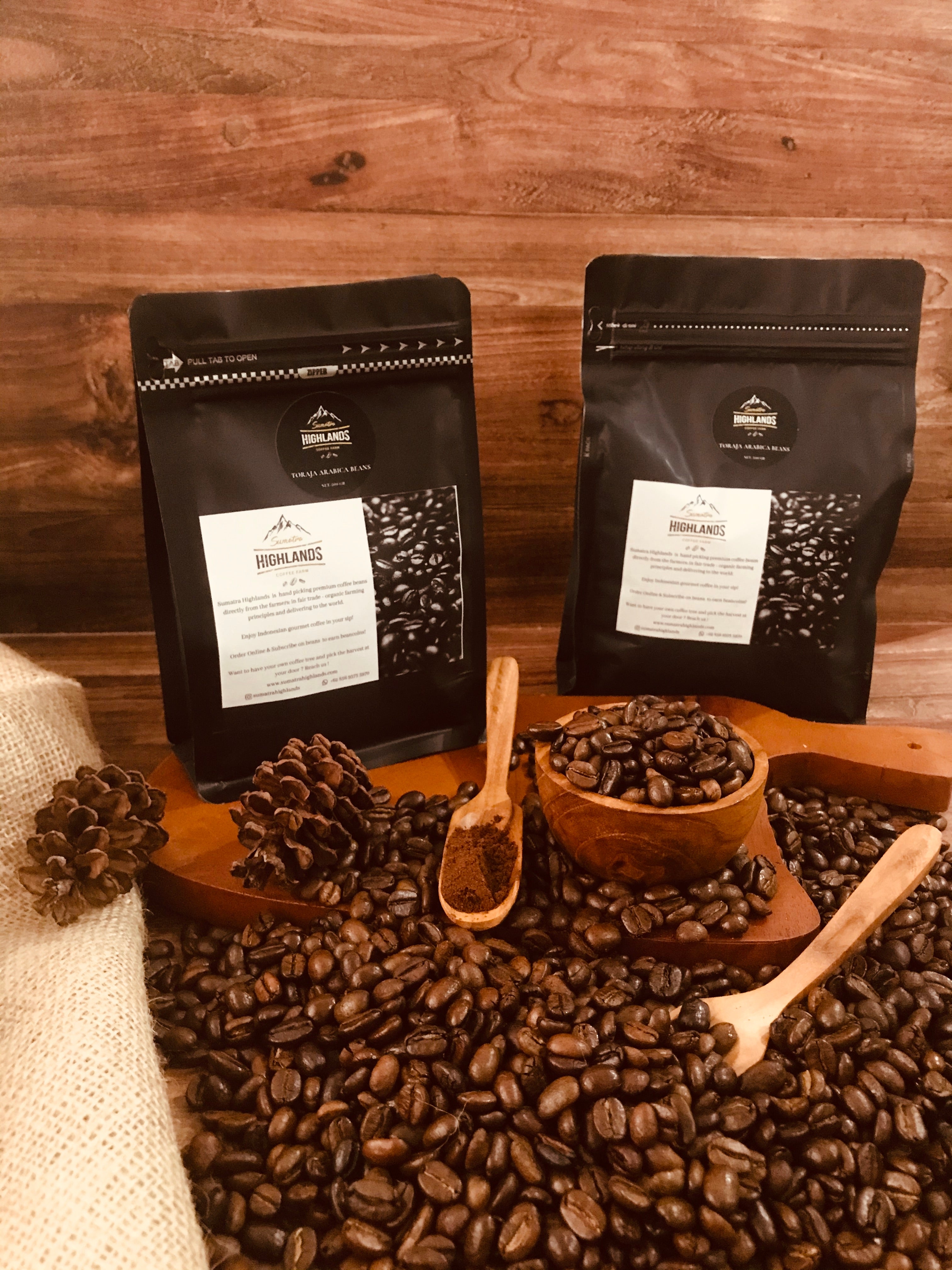TORAJA ARABICA
