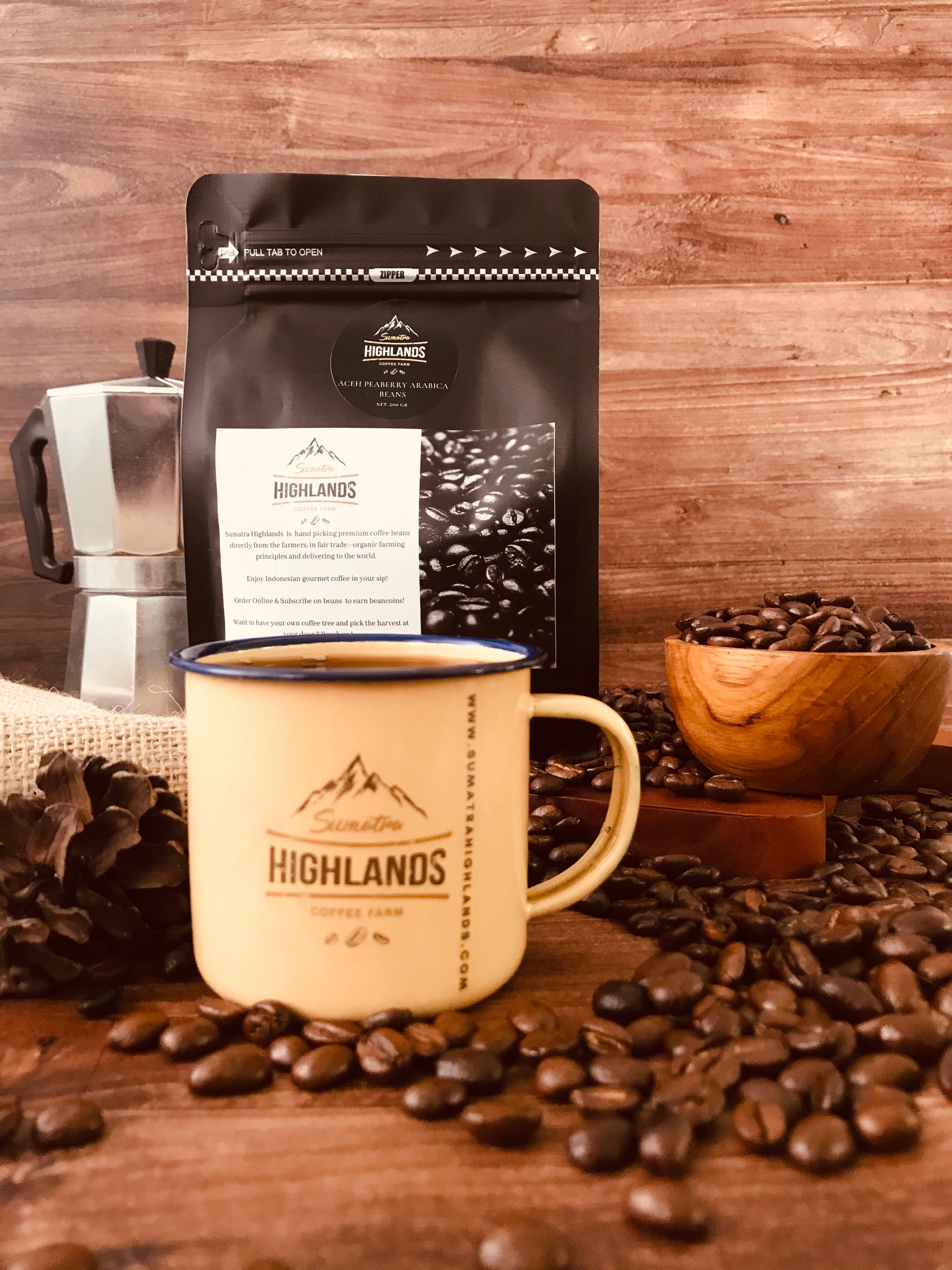 ACEH PEABERRY ARABICA