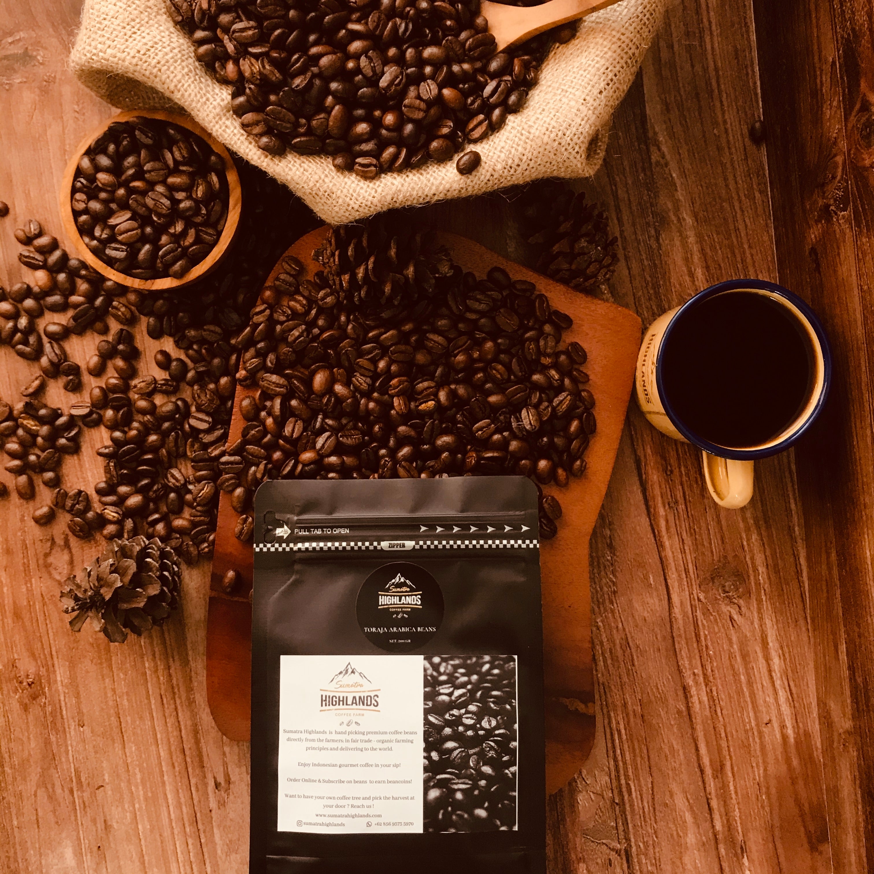 TORAJA ARABICA